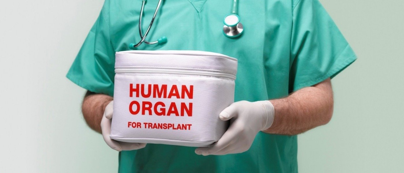 What's Organ Donation And Transplantation? - Fly To Cure Blog