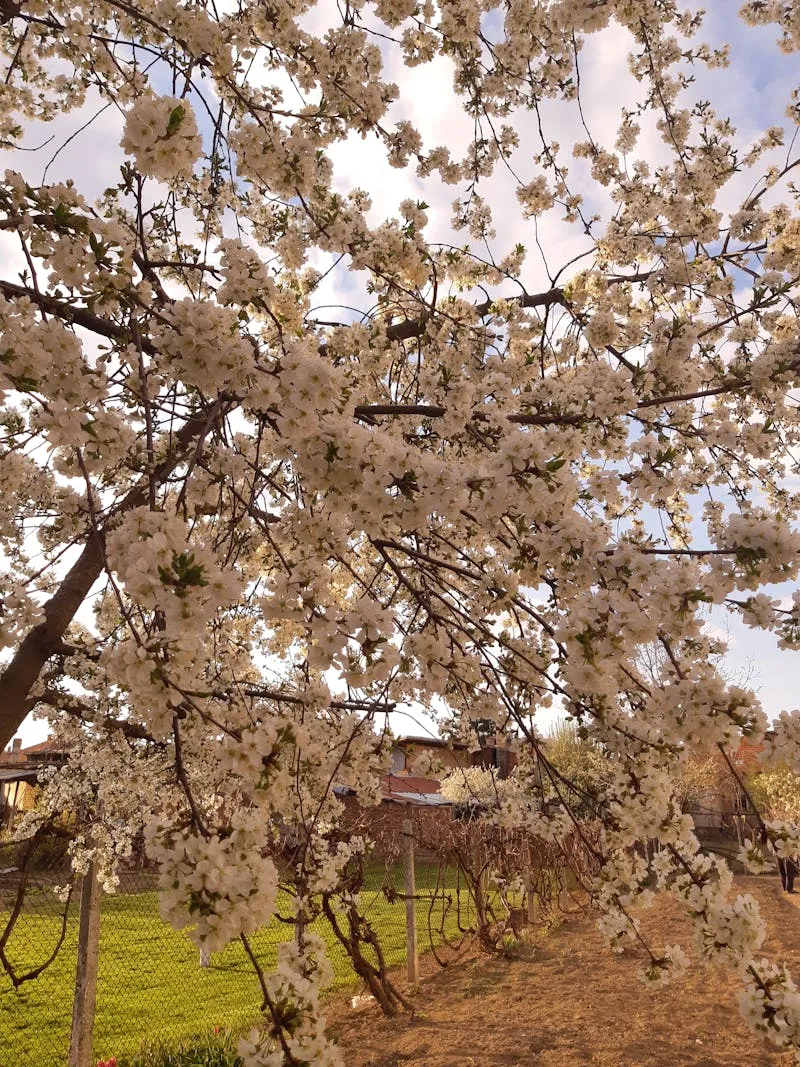 Radiation therapy mask and planning equipment for precise treatment