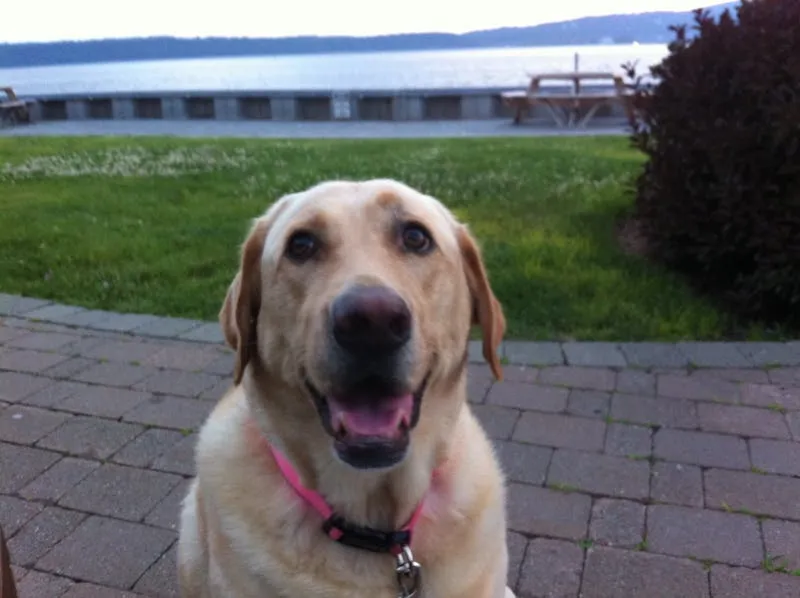 International patient department at Turkish oncology center